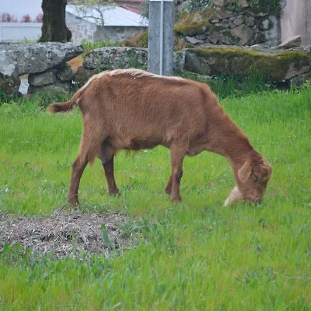 Landhaus Vo Laide Carvalhal da Louca