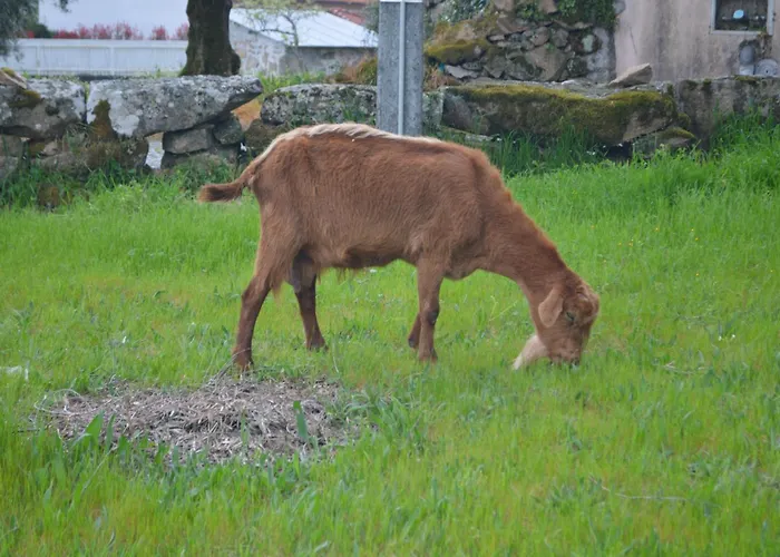 Landhuis Vo Laide Carvalhal da Louca